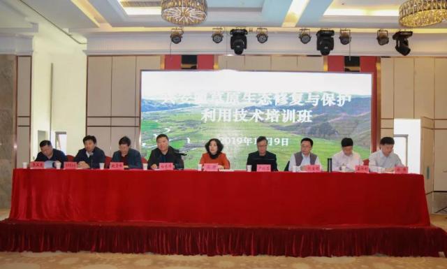 20191016157123761123004526.jpg 20191016157123761123004526.jpg