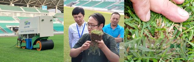 20191224157715320630805069.jpg 20191224157715320630805069.jpg