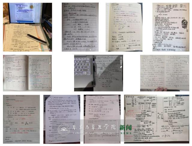 20200327158528243447307871.jpg 20200327158528243447307871.jpg