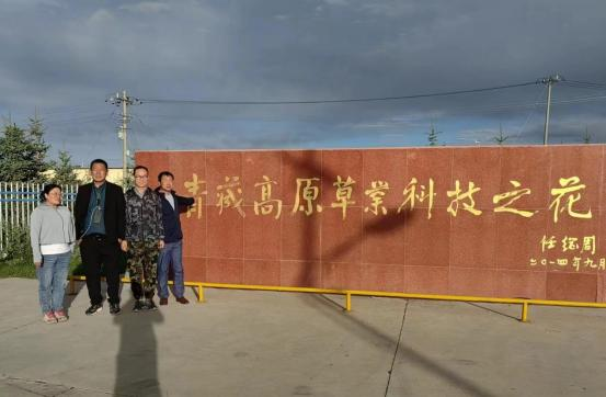 图片 5.png