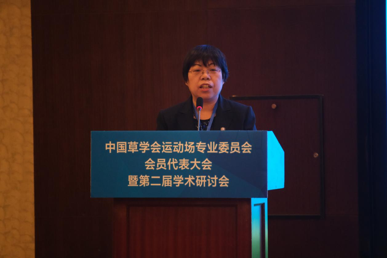 图片 4.png